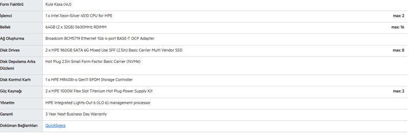 HPE HPE DL350 Gen11 Silver 4510-64G-2x960G-4U (P71671)-97375