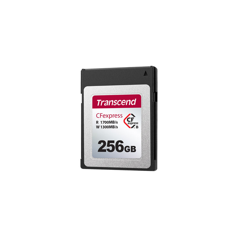 TRANSCEND  256GB CFE820 CFexpress Hafıza Kartı