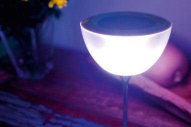 EDNET  ED-33040-63519