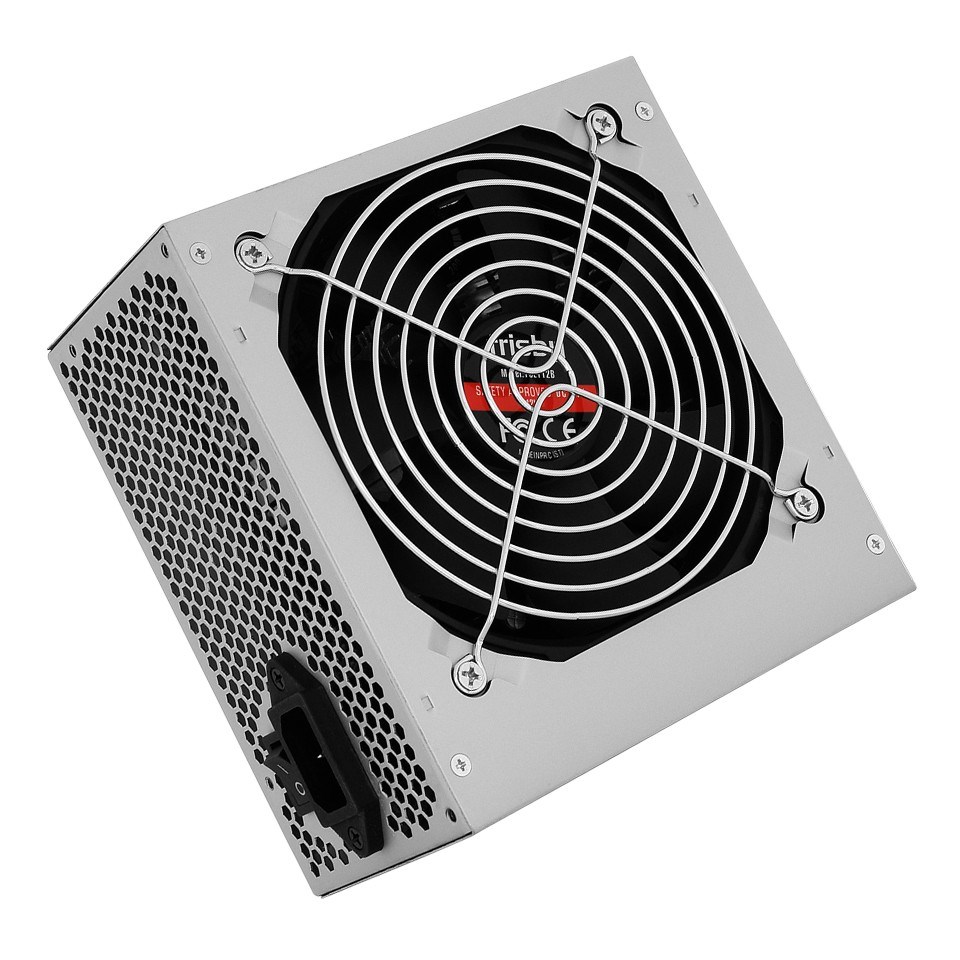 FRISBY Frisby 300W (FR-PW30C12)